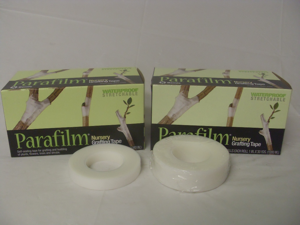 One Inch Parafilm® Grafting Tape Genuine by Parafilm® 90' Roll Clear 1" 