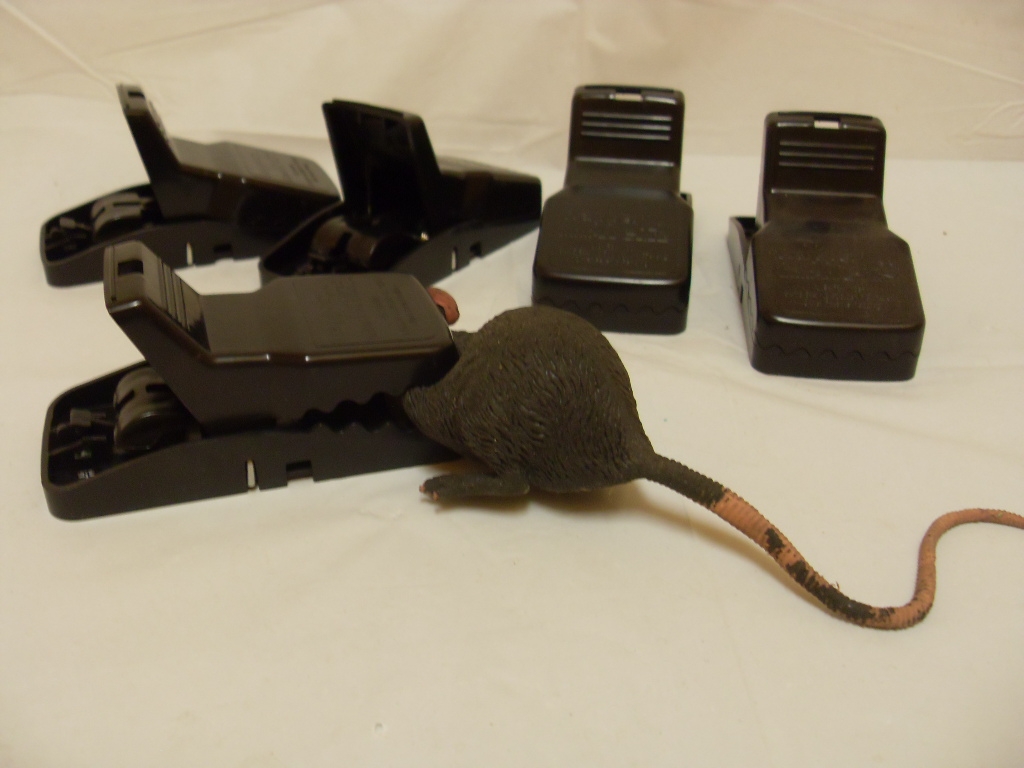 4 Trapper Mini T-Rex Mouse Trex Snap Trap Easy To Set Re-usable Control Mice e 