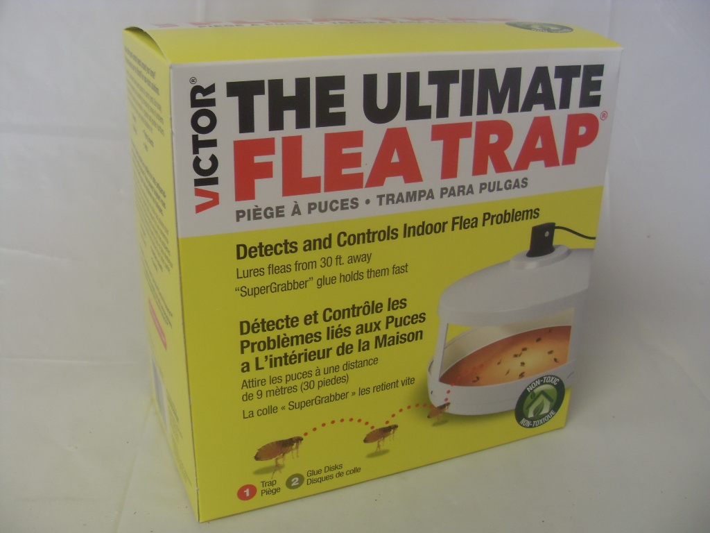 Victor The Ultimate Flea Trap 