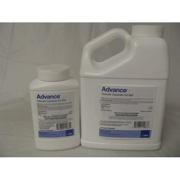 Advance Carpenter Ant Bait - 8 oz - 2 Lb